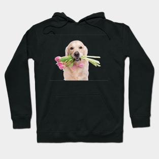 Dachshund puppy dog with spring pink tulip flowers. Hoodie